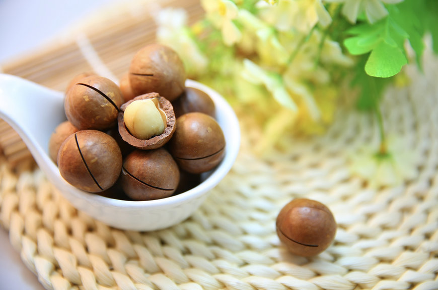 Cracking the nut: Food processing automation from Shibaura Machine